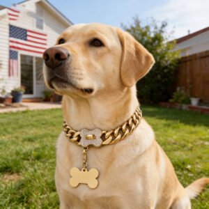 18K Gold Dog Chain Collar with Name Tag,Bling Bling Cubic Zironia Buckle,Stainless Steel Cuban Link,Fashion Necklace for Small Medium,Large Dogs