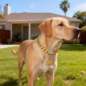 18K Gold Dog Chain Collar with Name Tag,Bling Bling Cubic Zironia Buckle,Stainless Steel Cuban Link,Fashion Necklace for Small Medium,Large Dogs
