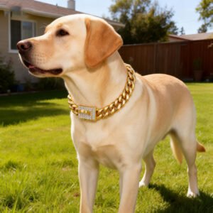18K Gold Dog Chain Collar with Name Tag,Bling Bling Cubic Zironia Buckle,14MM Stainless Steel Cuban Link,Fashion Necklace for Small Medium,Large Dogs