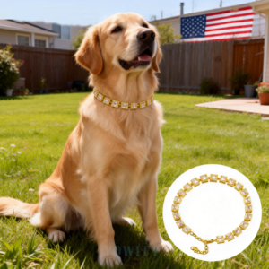 Dog Collars for Small Medium Dogs Dog Chain Collars Iced Out Tennis 5A Cubic Zironia Bling Collar for Puppy Kitty Brass and zircon  18K gold Choke Collar with Crystal Stones